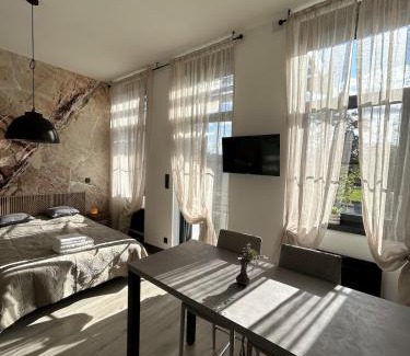 Wittelsheim Apartment | Studio Sylvinite