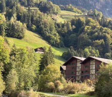 Val d'Illiez Apartment | Studio , Val-d’Illiez