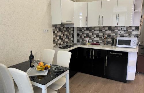 Truskavets Apartment | Studio with separate bed room