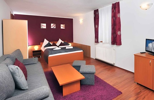 Tatranska Lomnica Apartment | Studio with WIFI and hairdryer