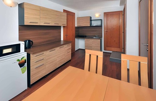 Tatranska Lomnica Apartment | Studio with WIFI and hairdryer