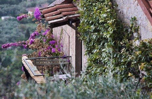 Camaiore Apartment | Studiolo, delightful tuscan apartment