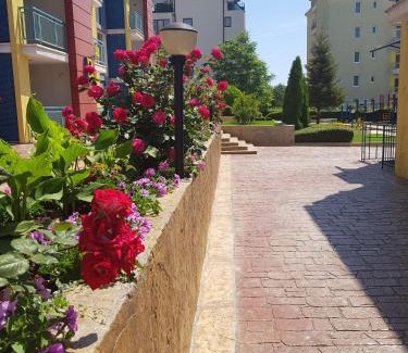Sunny Beach Apartment | Studios in Complex Elit 4