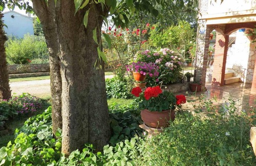Rosini Apartment | Stunning apartment in Tar-Vabriga