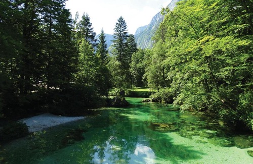 Bohinjska Bistrica Apartment | Stunning apartment in Bohinjska Bistrica with 1 Bedrooms and WiFi