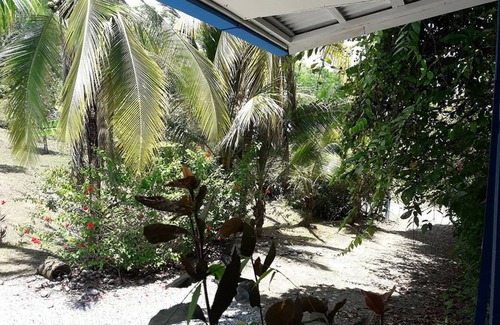 Ballena Cabin | STUNNING OCEAN VIEW FROM CABIN BALCONY