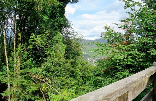 Thiefosse House | Stunning private villa for 12 people with WIFI, TV, patio and pets allowed