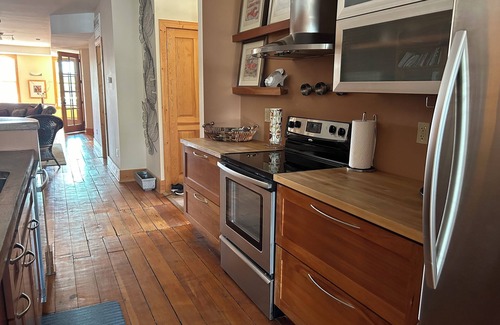 Wabasha Condo | Stunning river view loft in Wabasha near Eagle Center
