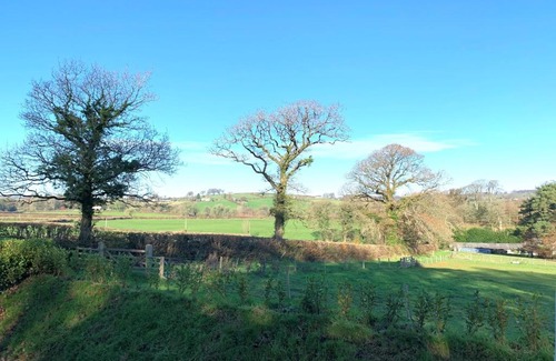 Tavistock Cabin | Stunning Shepherds Hut with Superb Views & Fire Pit near a Superb Gastro Pub