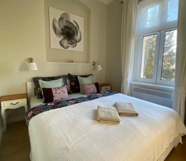Karlovy Vary Apartment | Style apartment Carlsbad