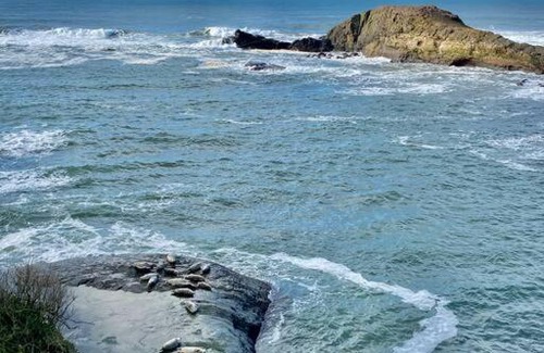 Depoe Bay House | Stylish Oceanfront Cottage Overlooking Pirate Cove