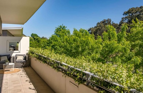 Forrest Apartment | Stylish Penthouse Level Apartment In Capital Hill ACT