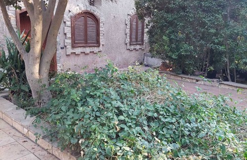 Al-Basatin Apartment | Stylish Stay in Maadi, Heart of Cairo