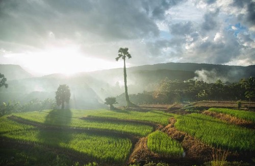 Ban Luang House | Suan Sook Homestay