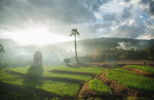 Ban Luang Hotel | Suan Sook Homestay
