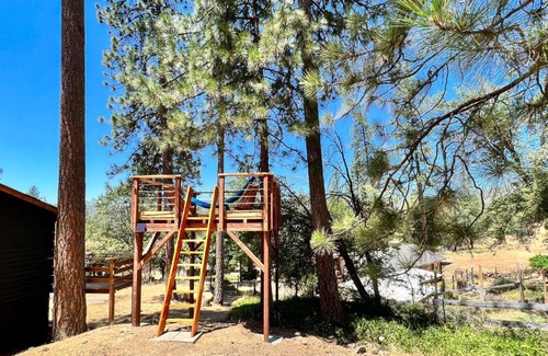 Oakhurst House | Sugar Pine Log Cabin