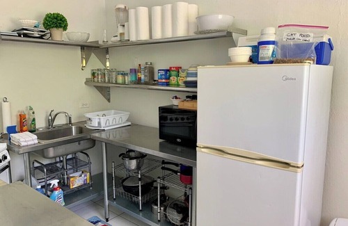 West Bay Apartment | Suite 4 Beach Shuttle Concierge Garden Cats