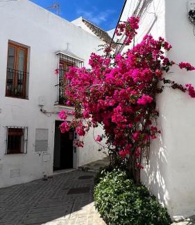 San Ambrosio Apartment | Suite Buganvilla Vejer