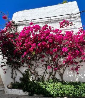 San Ambrosio Apartment | Suite Buganvilla Vejer