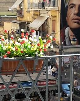 Naples City Centre House | Suite Duomo