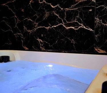 Port-Saint-Louis-du-Rhone Apartment | Suite with private Jacuzzi