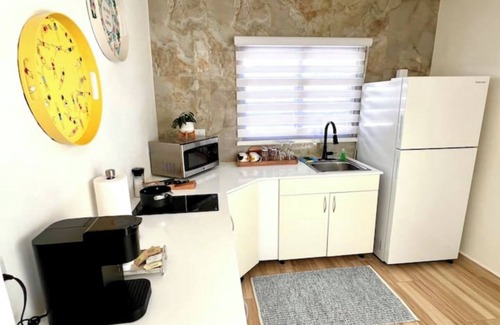 Aguadilla House | Suite with private pool
