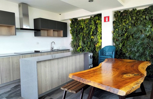 Zona 15 Apartment | Suite Zen