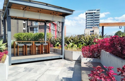 Zona 15 Apartment | Suite Zen