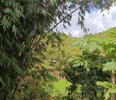 Waisai Apartment | Sulawesi Forest Guest House