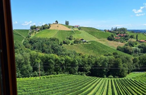Glanz an der Weinstrasse Apartment | Summer Wine
