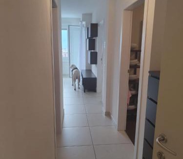Lugano Apartment | Sunny apartment with phenomenal view in Lugano City Center