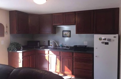 Tree Streets Apartment | Sunny lower level house with epic MTN views