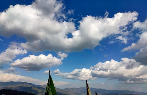 Almora House | Sunny-side cottage&cafe