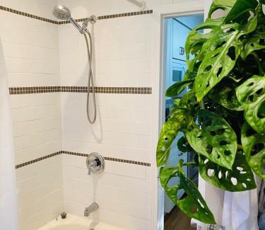 Sunnyside Apartment | Sunnyside 3 bdrm Trendy Kensington AC Garage