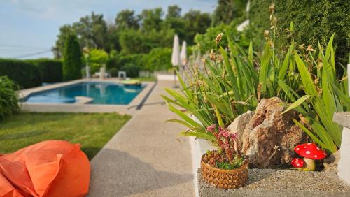 Osenovo Hotel | Sunrise Villa