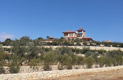 Madaba Other | Sunvalley