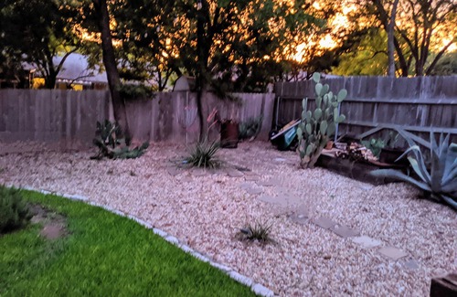Austin House | Super Pet Friendly South Austin Stay