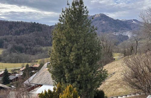 Mieussy Ski Chalet | Superb chalet with fireplace and breathtaking view of the hamlet