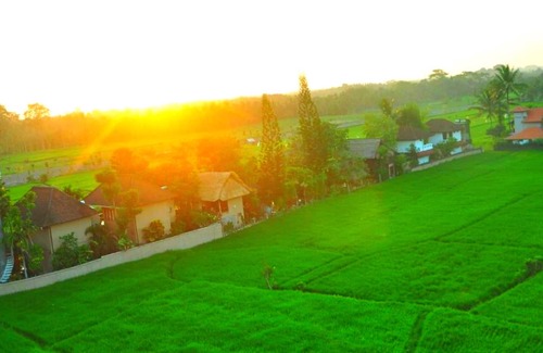 Pengosekan Bed & Breakfast | Superior One Room near Yoga Barn and Monkey Forest #A6
