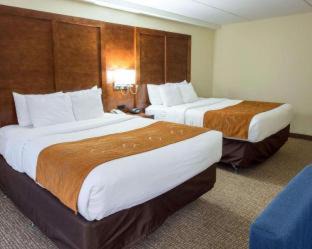Fernandina Beach Hotel | Surf and Sand Fernandina Beach at Amelia Island, an Ascend Collection Hotel