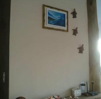 Almada House | Surf house
