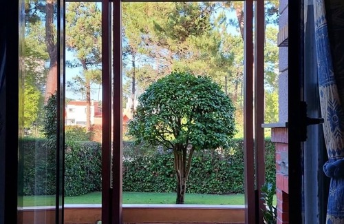 Mira Apartment | Surrounded by nature, close to the beach, you'll find a relaxing atmosphere here.