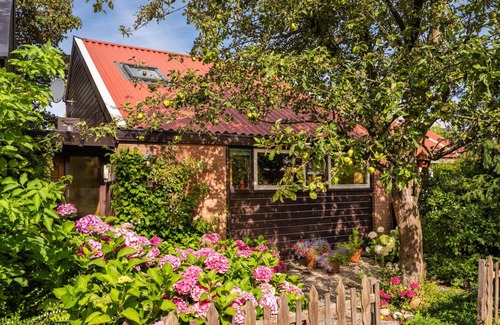 Warmenhuizen House | Surroundings Schoorl, Dune and Beach. Cozy house with garden on small park. Dog welcome