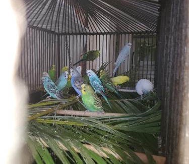 Sosua Apartment | Susy paradise