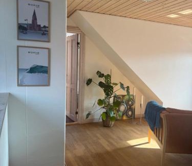 Nykobing Mors House | Svane's Air-bnb