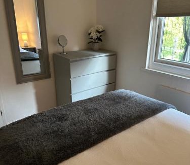 Bont Newydd Apartment | Swan lake lodge