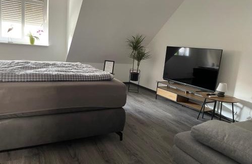 Delitzsch Apartment | SWID Appartement 9