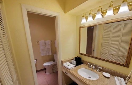 Crystal River House | Swim with Amazing Manatees! Relaxing Room, Fantastic View, Outdoor Pool