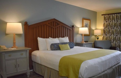 Crystal River House | Swim with Amazing Manatees! Relaxing Room, Fantastic View, Outdoor Pool