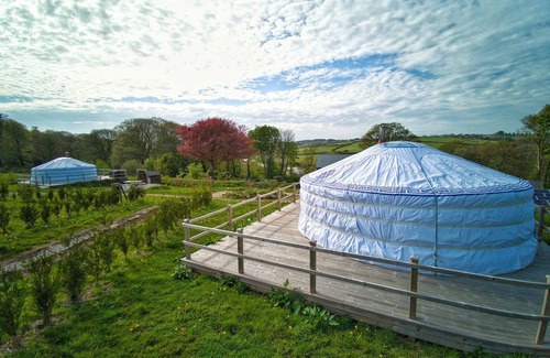 Newquay Cabin | Sycamore - A luxury couples+ Yurt on a stunning historic estate near Newquay